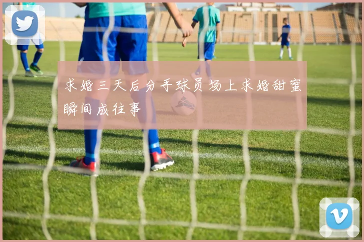 求婚三天后分手球员场上求婚甜蜜瞬间成往事