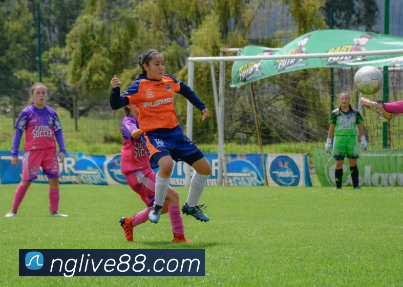 App Interface Preview