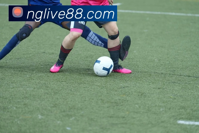 NG体育APP 封面图