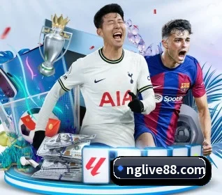 NG体育的方向(ngtiyu.com)